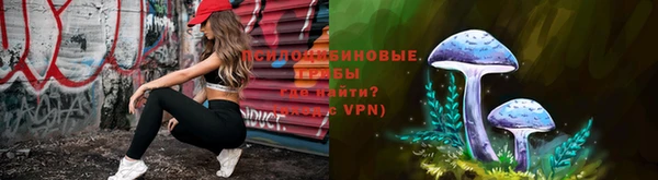 бошки Балахна