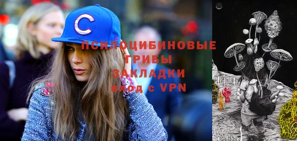 бошки Балахна