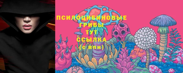 бошки Балахна